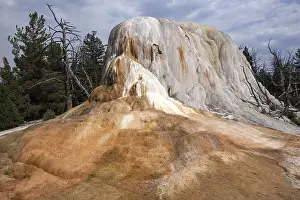 Mammoth Hot Springs Prints: Orange Spring Mound, Upper Terraces