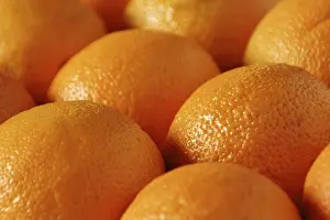 Orange Fruit Prints: Oranges