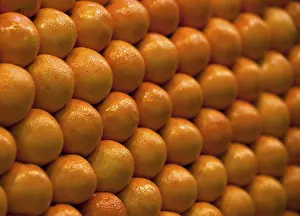 Citrus Fruit Pattern Prints: Oranges