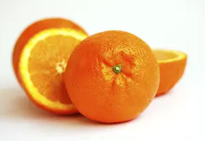 Citrus Fruits Prints: Oranges (Citrus)
