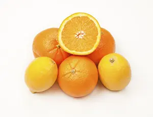 Fruit Still Life Prints: Oranges and lemons