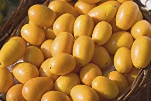 Citrus Fruit Health Benefits Prints: Orangini