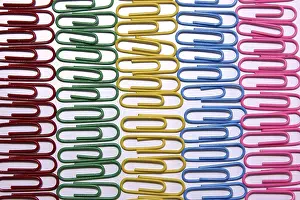 Stationary Supplies Prints: Order