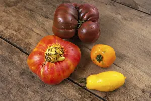 European Fruit Vegetables Prints: Organic tomatoes on a kitchen table