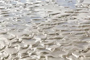 German Coastal Region Prints: Oscillation ripples in the sand