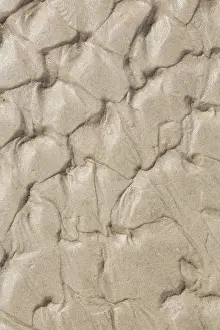 Northern Germany Coast Prints: Oscillation ripples in the sand