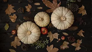 Autumn Harvest Prints: Overhead view of pumpkins surrounded by pine cones