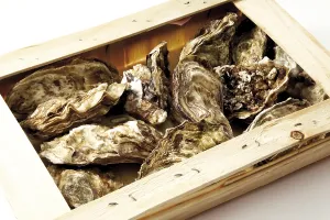 Seafood Delicacy Prints: Oysters