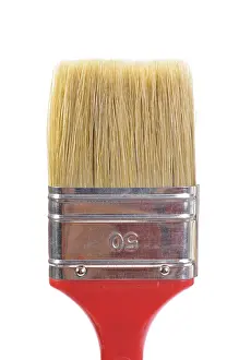 Studio Photography Props Prints: Paint brush