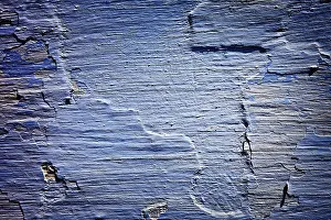 Textured Wallpaper Design Prints: Painted plaster wall texture