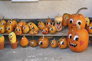 Orange Colored Squash Prints: Painted pumpkins Cucurbita