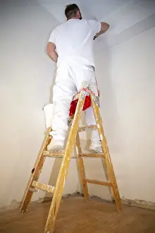 Professional Painter Job Prints: Painter renovates an old flat