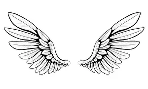 Monochrome Artwork Prints: Pair of Wings Print by ImageBROKER