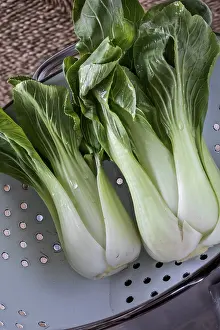 Leafy Vegetable Greens Prints: Pak Choi