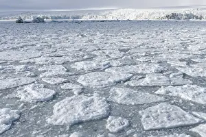 Svalbard Archipelago Prints: Palanderbukta Bay, Pack ice pattern