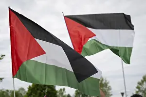 Freedom Symbol Prints: Two Palestinian flags against the sky