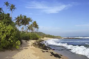 Empty Sandy Beach Scene Prints: Palms at sandy beach with surf