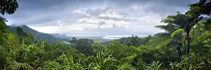 Rainforest Landscape Photography Prints: Panorama, overview, rainforest