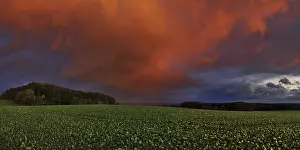 Evening Sun Photography Prints: Panorama of storm clouds in the sunset