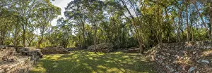 Ancient Maya Cityscape Prints: Panoramic in the temples under the trees in Copan Ruinas