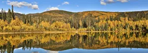 Uninhabited Waterfront Scene Prints: Panoramic view of a clear lake with reflections in fall