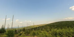 German Mountain View Prints: Panoramic view from the Hochstein