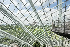 Framed Print : Cloud Forest Panorama Print Framed Print : Cloud Forest Panorama Print