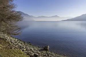 Rocky Coastline Scenery Prints: Panoramic view of a tree by the lake