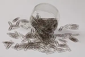 Office Supply Still Life Prints: Paper clips