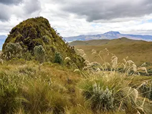 South American Scenery Prints: Paramo landscape on the Pasochoa