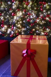 Christmas Tree Decoration Prints: Parcel under the Christmas tree