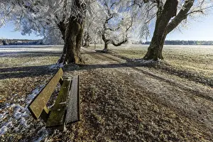 Seating Accommodation Germany Prints: Park bench on a snow-covered path