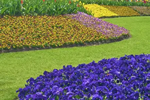 Keukenhof Gardens Prints: Park with flower fields, spring