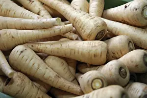 Root Vegetable Nutrition Prints: Parsnips