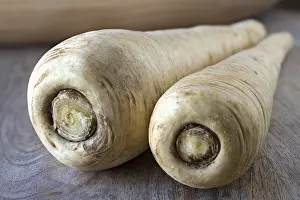 Root Vegetable Prints: Parsnips
