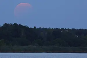 Partial Lunar Eclipse Prints: Partial lunar eclipse, Middle Elbe Biosphere Reserve