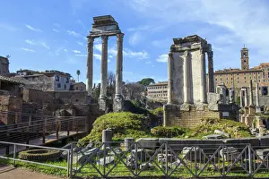 Roman Forum Temple Prints: Partial reconstruction of left columns of temple of Dioscuri