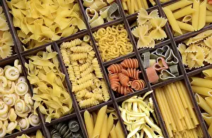 Italian Pasta Types Prints: Pasta, various types of pasta in a type case