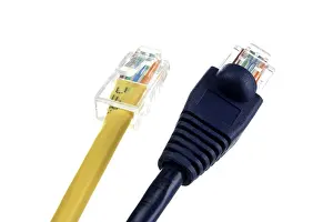 Internet Connection Prints: Patch cable