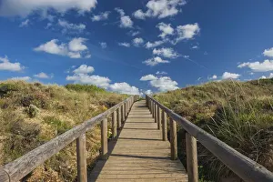 Dune Landscape Prints: Path through the dune landscape
