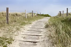 Wangerooge Island Prints: Path across the dune, Wangerooge