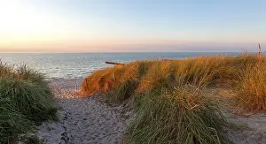 Deserted Beach Path Prints: Path through the dunes to the beach