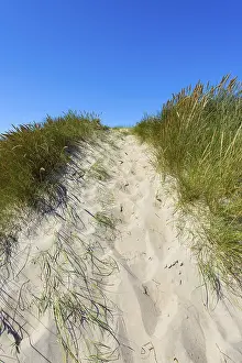Empty Shoreline Photoshoots Prints: Path through Dunes too the Beach