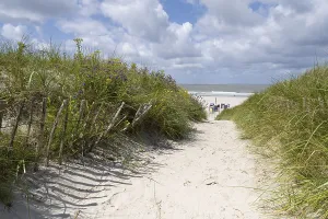German Dunes Prints: Path through the dunes to the beach