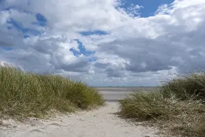 Deserted Beach Germany Prints: Path through dunes to the beach