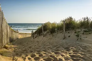 Western Europe Beaches Prints: Path through the dunes to the beach