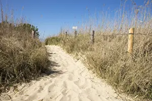 Deserted German Beach Prints: Path through the dunes, Cuxhaven