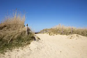 Deserted Dune Landscape Prints: Path through the dunes, Cuxhaven