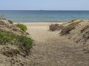 Serene Sandy Beach Scene Prints: Path through the dunes to the sea