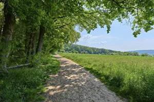 Lower Franconia Scenery Prints: Path, edge of forest, spring, Elsenfeld